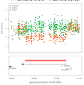 CNVplot